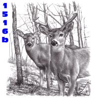 Click to order printed t-shirt 1516b... Deer Scene