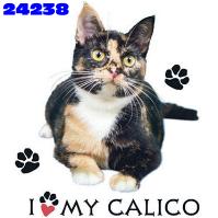 Click to order printed t-shirt 24238... I Love My Calico