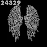 Click to order printed t-shirt 24329... Angel Wings (back print)