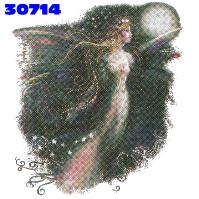 Click here to Order design 30714... Ethereal Lady. (1st quality t-shirts, sweatshirts, tank tops, baby doll tees, scoop neck tshirts and hooded fleece)