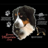 Click to order printed t-shirt 30812... Bernese Mountain Dog