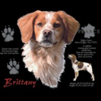 Click to order printed t-shirt 30815... Brittany