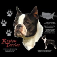 Click to order printed t-shirt 30816... Boston Terrier