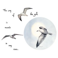 Click to order printed t-shirt 31317... The cry of the gulls is music to my ears.