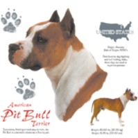 Click to order printed t-shirt 41075... American Pit Bull Terrier