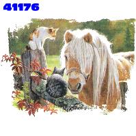 Click to order printed t-shirt 41176... Just Visiting