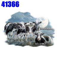 Click to order printed t-shirt 41366... Moonshine Cows