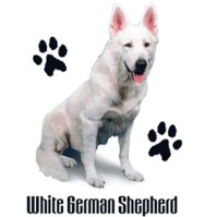 Click to order printed t-shirt 41442... White German Shepherd (w/ crest and pawprints)