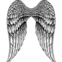 angel wings on back of shirt