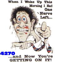 Click to order printed t-shirt 4270... When I Woke Up This Morning I Had One Nerve Left... ...and Now You're Getting On It!