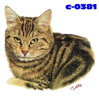 Click to order printed t-shirt c-0381... Tabby (Cap)