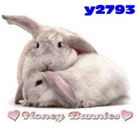 Click to order printed t-shirt y2793... Honey Bunnies (Youth Size Print)
